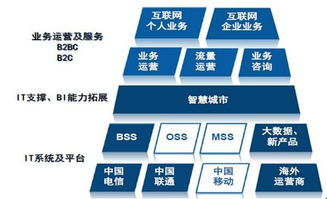 天源迪科（300047）更新研究報告 聚焦政企與運營商雙輪驅動，深化軟件外包服務布局