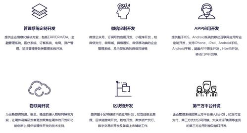 軟件開發外包服務 定義、模式、優勢與選擇指南